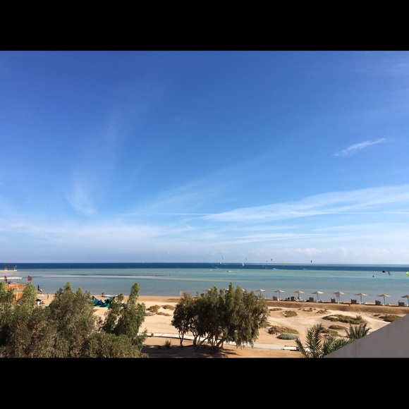 Meet your Posher, Rourou - Picture 1 of 1